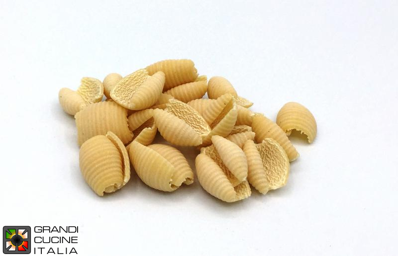  Brass-bronze alloy die for gnocchi for MPF15N extruder