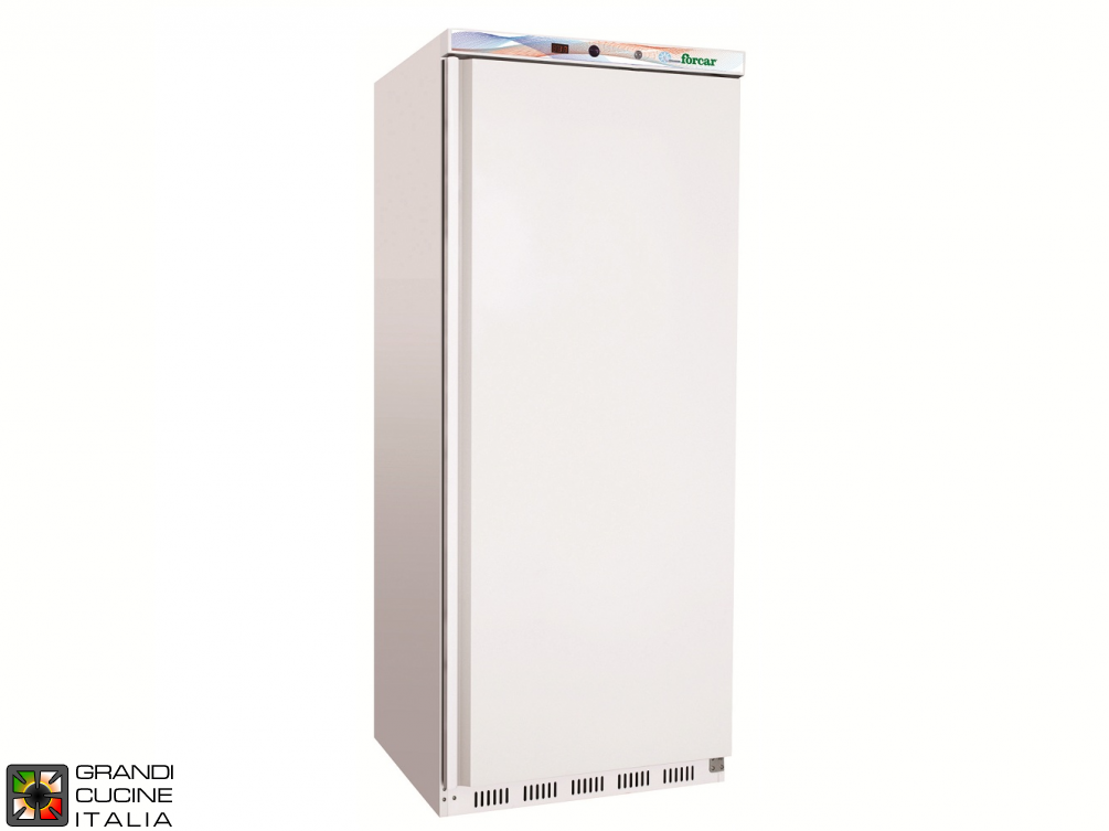  Frigorifero Congelatore - 555 Litri - Temperatura  -18 / -22 °C - Porta Singola - Refrigerazione Statica